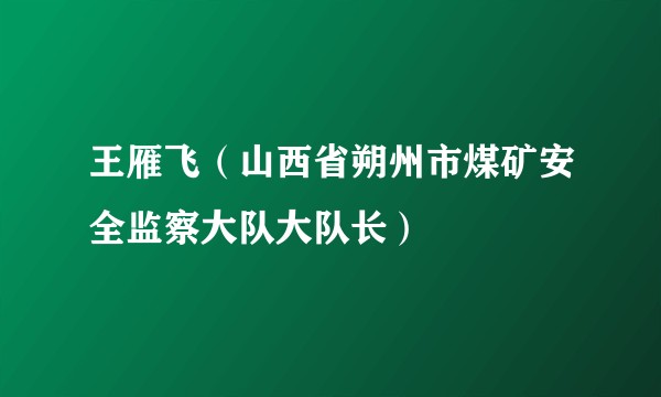 王雁飞（山西省朔州市煤矿安全监察大队大队长）