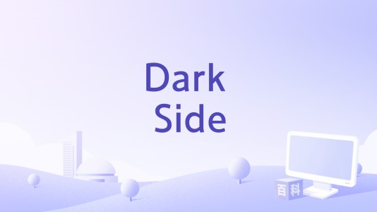 Dark Side（The Shadows Of Knight演唱的歌曲）
