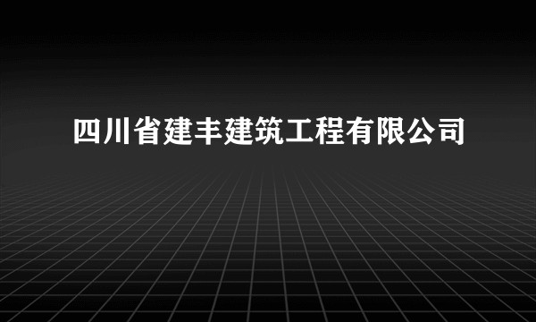 四川省建丰建筑工程有限公司