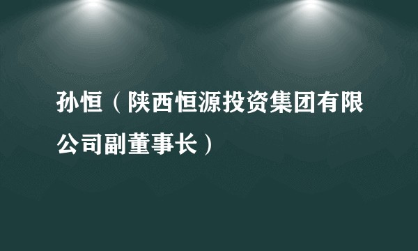 孙恒（陕西恒源投资集团有限公司副董事长）