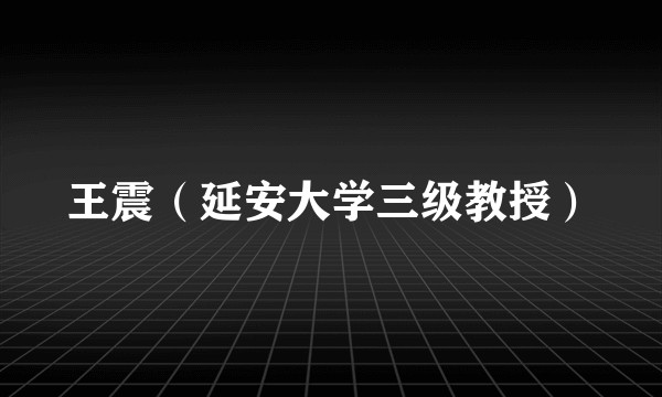 王震（延安大学三级教授）