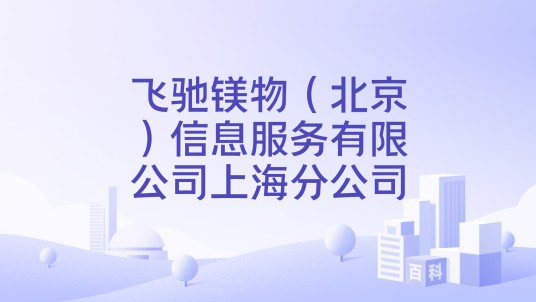 飞驰镁物（北京）信息服务有限公司上海分公司