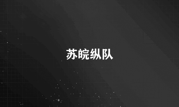 苏皖纵队
