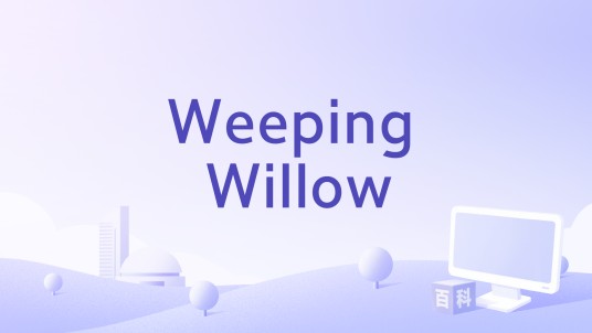 Weeping Willow
