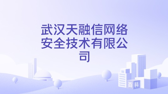 武汉天融信网络安全技术有限公司