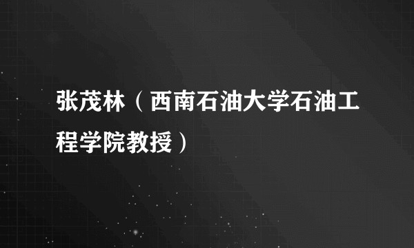 张茂林（西南石油大学石油工程学院教授）