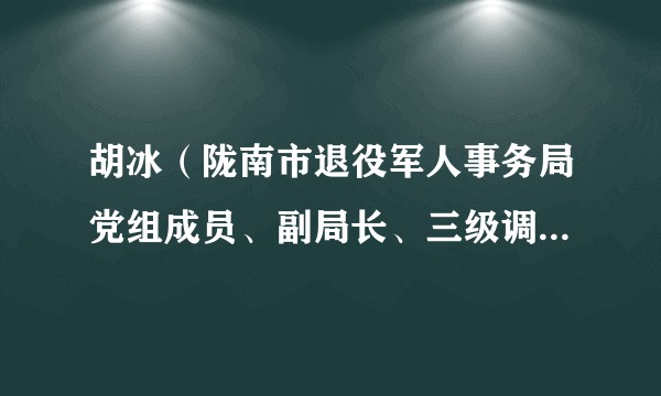 胡冰（陇南市退役军人事务局党组成员、副局长、三级调研员，双拥工作领导小组办公室主任）