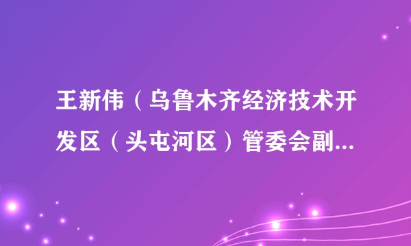 王新伟（乌鲁木齐经济技术开发区（头屯河区）管委会副主任、副区长（副县级）、二级调研员）