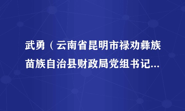 武勇（云南省昆明市禄劝彝族苗族自治县财政局党组书记、局长）