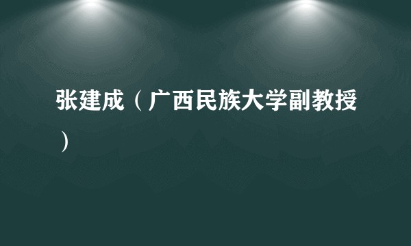 张建成（广西民族大学副教授）