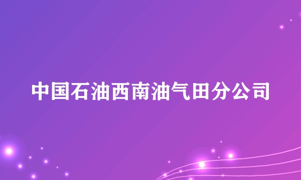 中国石油西南油气田分公司