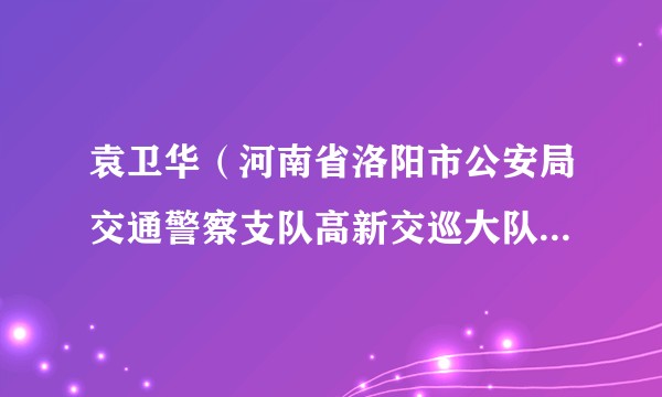 袁卫华（河南省洛阳市公安局交通警察支队高新交巡大队原大队长）
