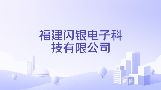 福建闪银电子科技有限公司
