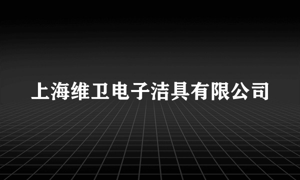 上海维卫电子洁具有限公司