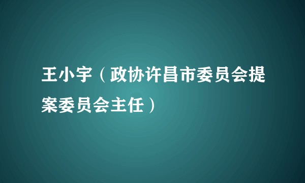 王小宇（政协许昌市委员会提案委员会主任）