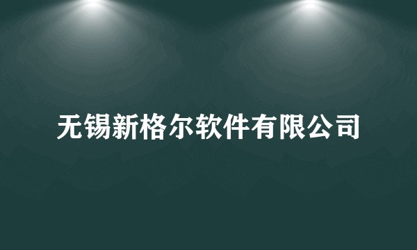 无锡新格尔软件有限公司