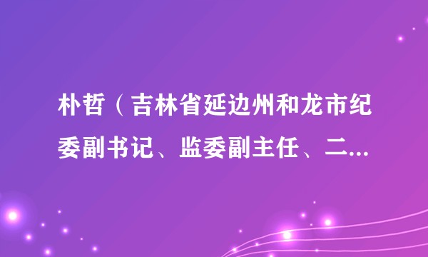 朴哲（吉林省延边州和龙市纪委副书记、监委副主任、二级监察官）