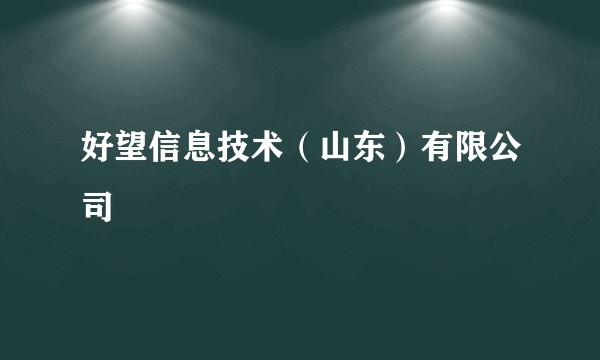 好望信息技术(山东)有限公司
