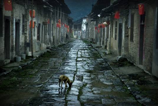 羊楼洞(中国古镇)