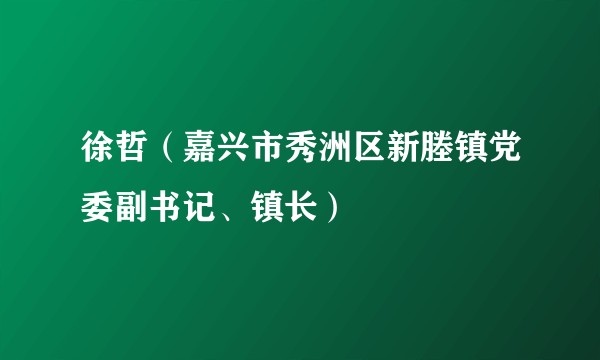 徐哲（嘉兴市秀洲区新塍镇党委副书记、镇长）