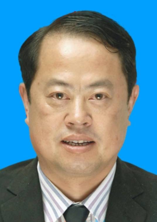 张应华(西藏自治区昌都市统计局党组书记、副局长)