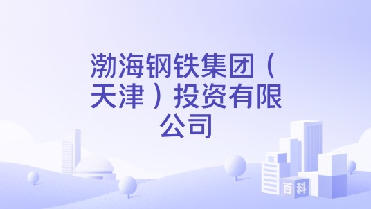 渤海钢铁集团（天津）投资有限公司