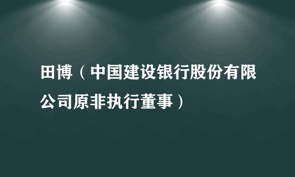 田博（中国建设银行股份有限公司原非执行董事）