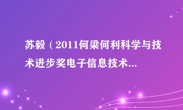 苏毅（2011何梁何利科学与技术进步奖电子信息技术奖得主）