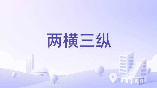 两横三纵（自贡市富顺县福善镇2016年政府工作报告中提出的概念）