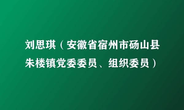 刘思琪（安徽省宿州市砀山县朱楼镇党委委员、组织委员）