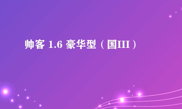 帅客 1.6 豪华型（国III）