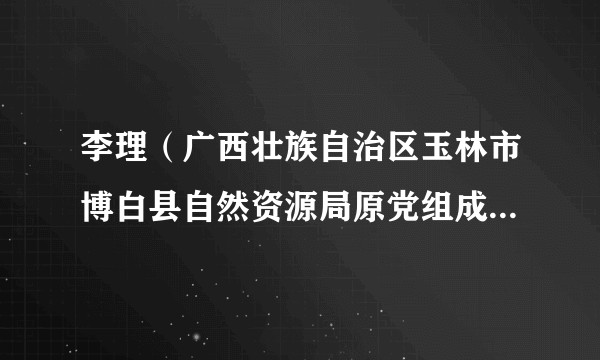 李理（广西壮族自治区玉林市博白县自然资源局原党组成员、副局长）