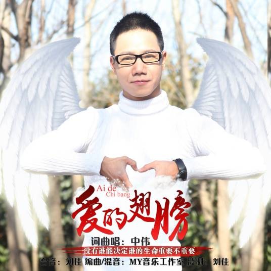 爱的翅膀(中伟演唱歌曲)