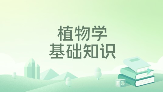 植物学基础知识