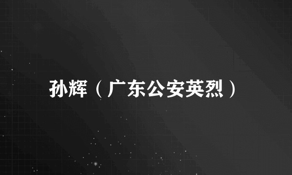 孙辉（广东公安英烈）