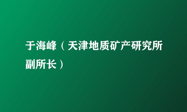 于海峰（天津地质矿产研究所副所长）