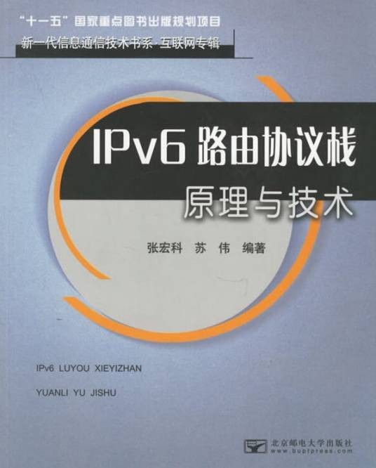 IPv6路由协议栈原理与技术
