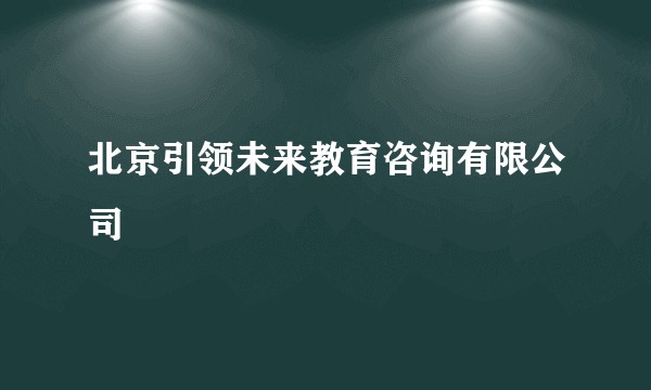 北京引领未来教育咨询有限公司
