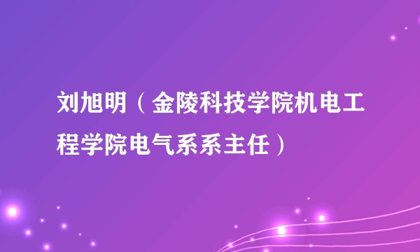 刘旭明(金陵科技学院机电工程学院电气系系主任)