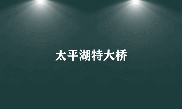 太平湖特大桥