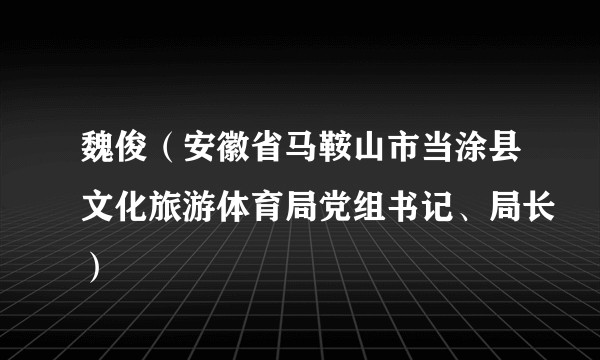 魏俊（安徽省马鞍山市当涂县文化旅游体育局党组书记、局长）