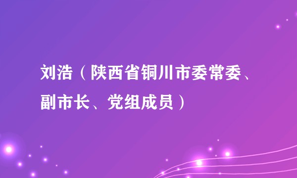 刘浩（陕西省铜川市委常委、副市长、党组成员）