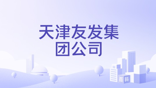 天津友发集团公司