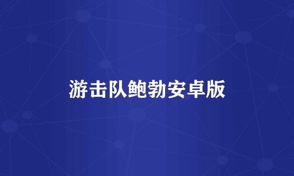 游击队鲍勃安卓版