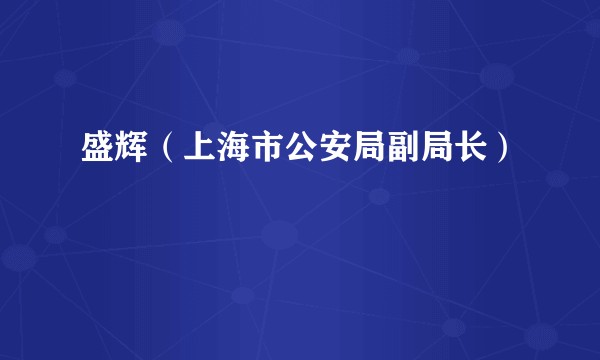盛辉（上海市公安局副局长）