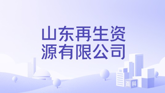 山东再生资源有限公司