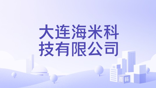 大连海米科技有限公司