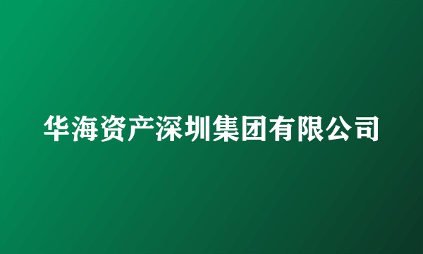 华海资产深圳集团有限公司