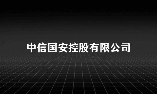 中信国安控股有限公司