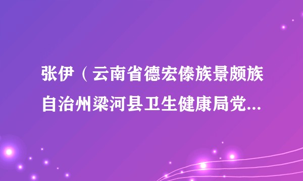 张伊（云南省德宏傣族景颇族自治州梁河县卫生健康局党组成员、副局长）
